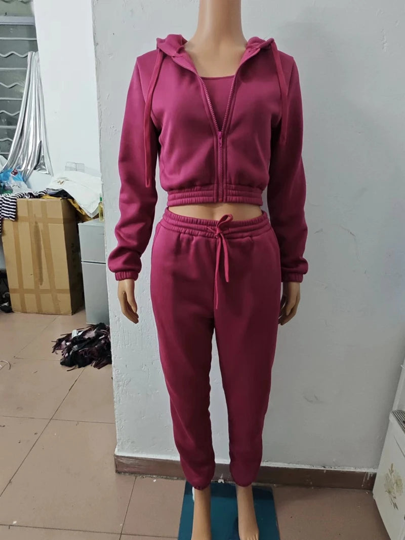 STYLISH LADY Fleece Sporty 3 Piece Set Women Outfits 2025 Spring Crop Top and Drawstring Pant Suits Casual Workout Tracksuits