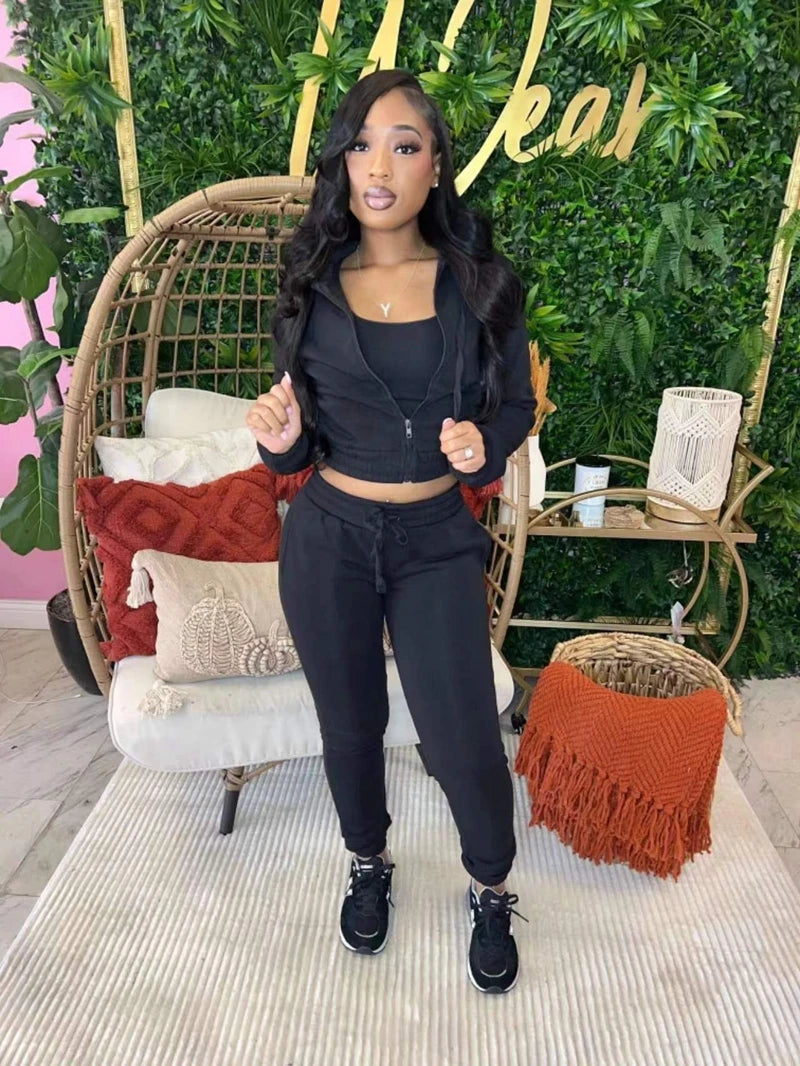 STYLISH LADY Fleece Sporty 3 Piece Set Women Outfits 2025 Spring Crop Top and Drawstring Pant Suits Casual Workout Tracksuits