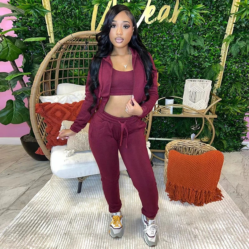 STYLISH LADY Fleece Sporty 3 Piece Set Women Outfits 2025 Spring Crop Top and Drawstring Pant Suits Casual Workout Tracksuits