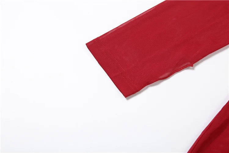 Weird Puss Sexy Thin Mesh Dress Women Deep Swing Collar Ruched Elegant Birthday Prom Party Clubwear Stretch Skinny Maxi Bodycon