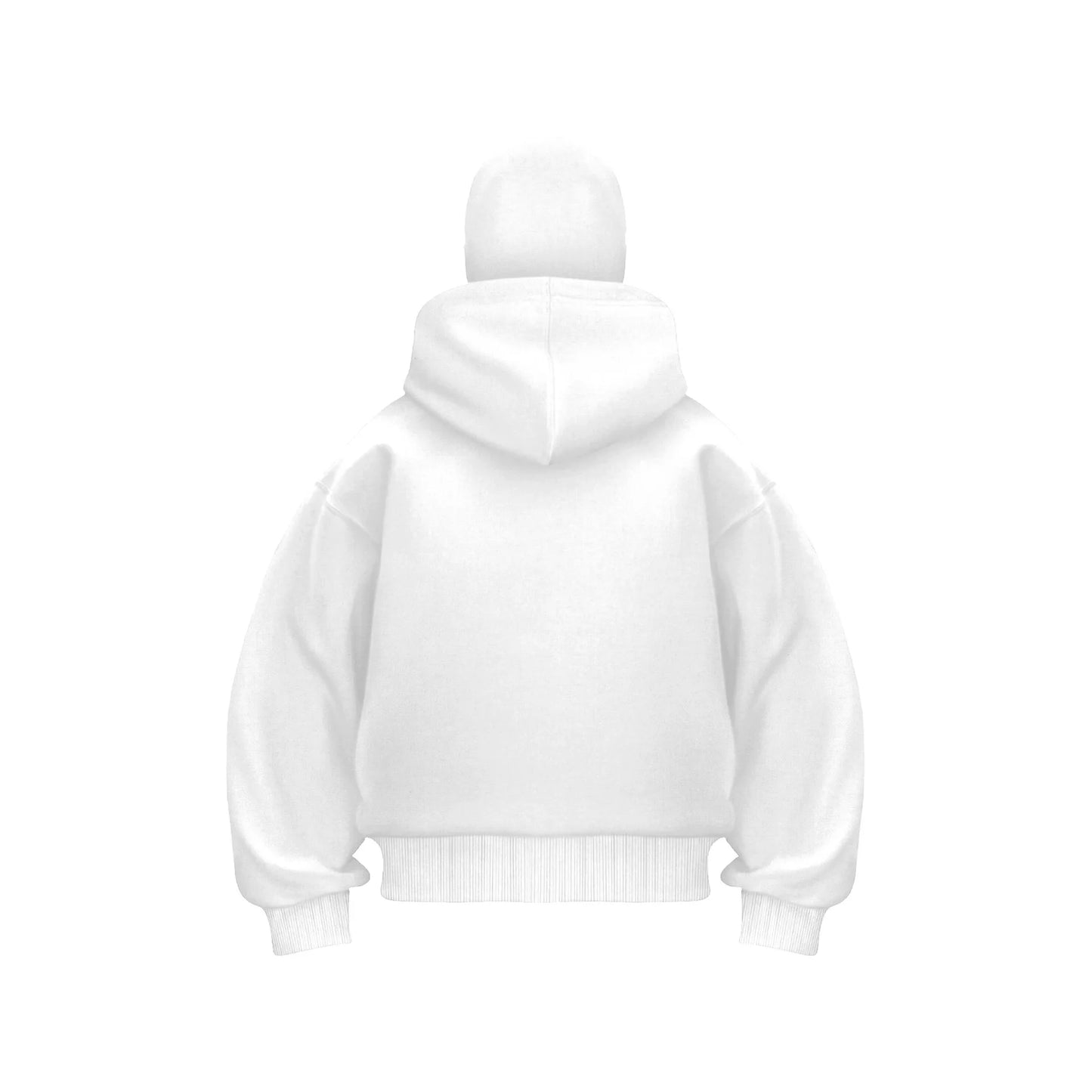 Men's Double Hat Mask Zipper Design Winter Windproof Hoodie Sports Jacket Outdoor Activities Hiking Travel Running Sweatshirt ﻿
