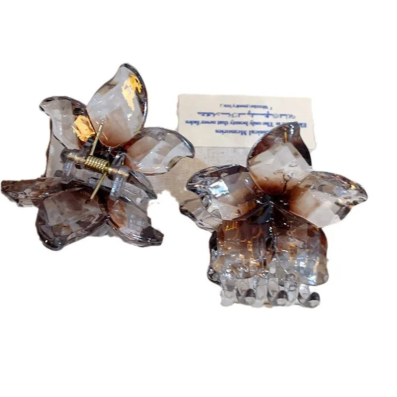 2Pcs/set Korean Acrylic Flower Butterfly Transparent Gradient Hair Claw Clip Climp Hairpin For Girls Barrettes Hair Accessories