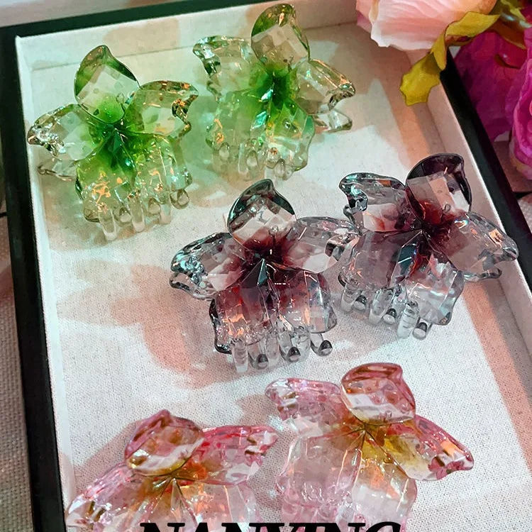 2Pcs/set Korean Acrylic Flower Butterfly Transparent Gradient Hair Claw Clip Climp Hairpin For Girls Barrettes Hair Accessories