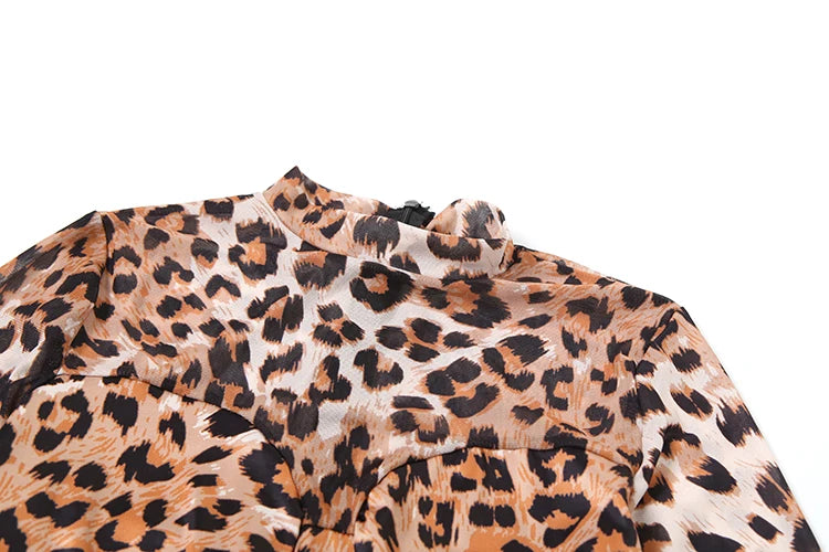 Weird Puss Leopard Print Jumpsuit Women Sexy See Through midnight full sleeve Hipster Fit Street Clubwear Party Workout Overalls