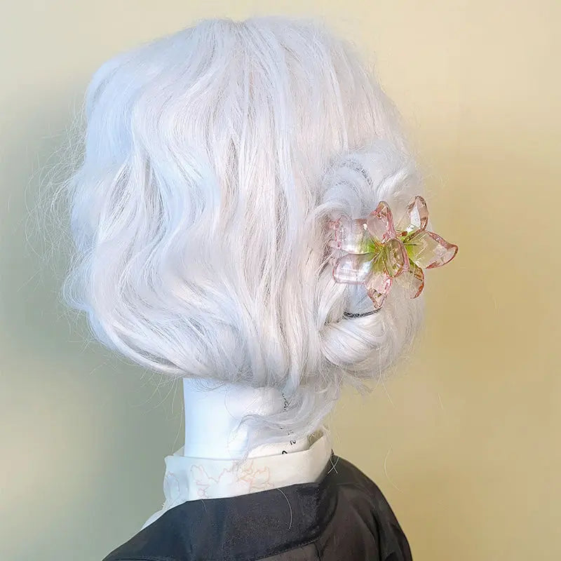 2Pcs/set Korean Acrylic Flower Butterfly Transparent Gradient Hair Claw Clip Climp Hairpin For Girls Barrettes Hair Accessories