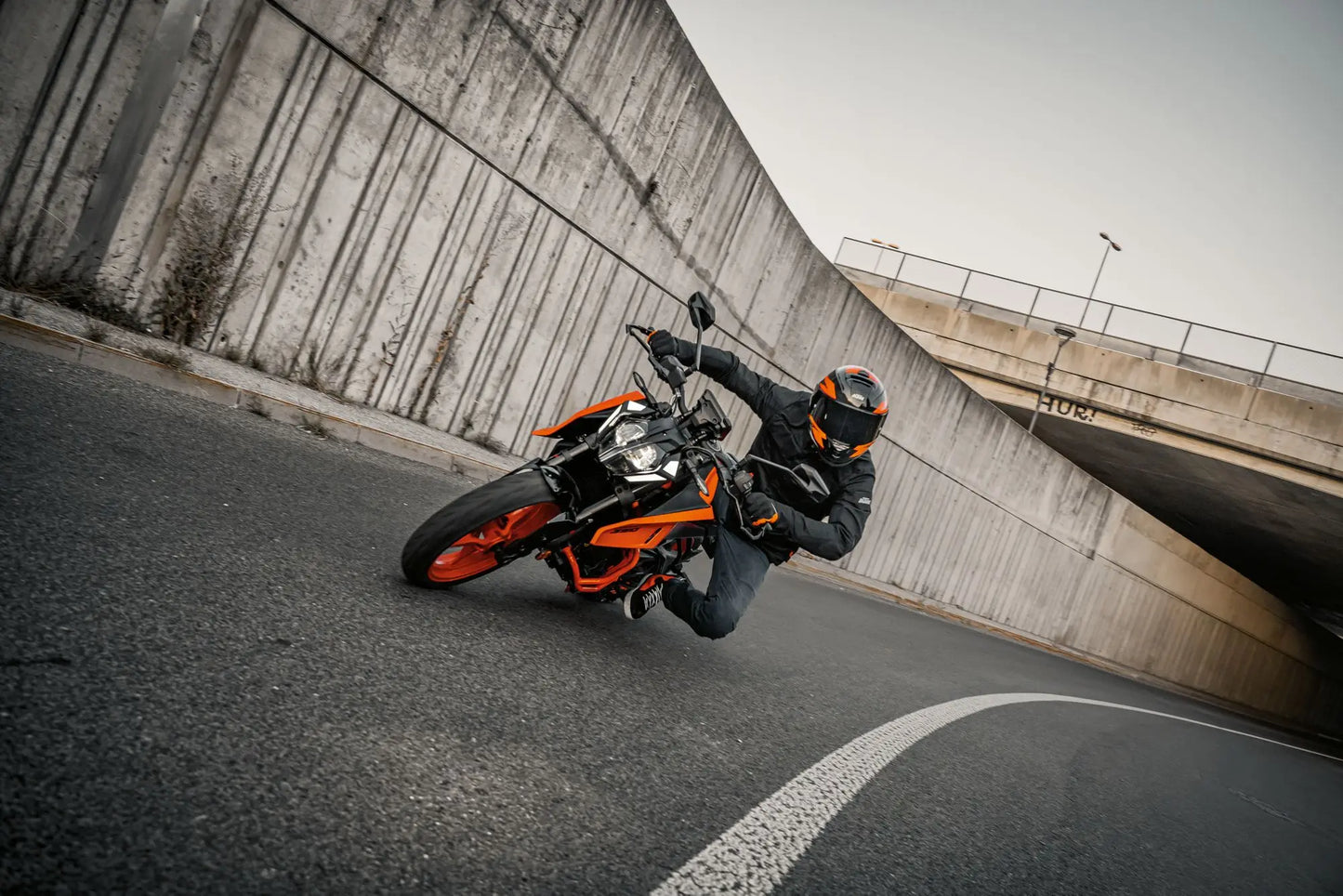 Summer Beach Cute White Bear Motorcycle Sport Short Pants Men And Women Outdoor Sportswear Daily Casual Quick Drying Short Pants