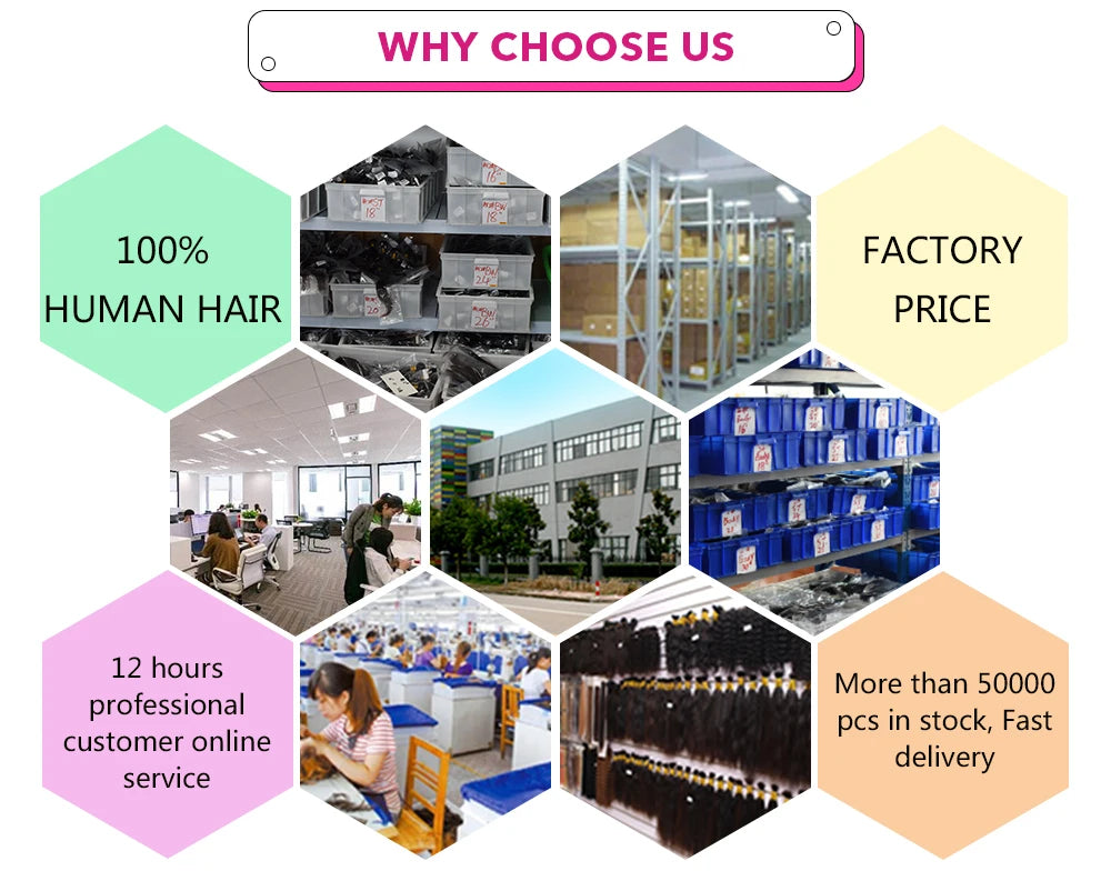 Lace Front Human Hair Wigs Purple 13x4 Loose Wave 13x6 Lace Frontal Wig Human Hair Transparent Lace Wigs Bouncy Curly Human Wigs